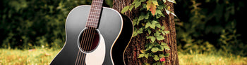 Acoustic Guitars - The Music Zoo