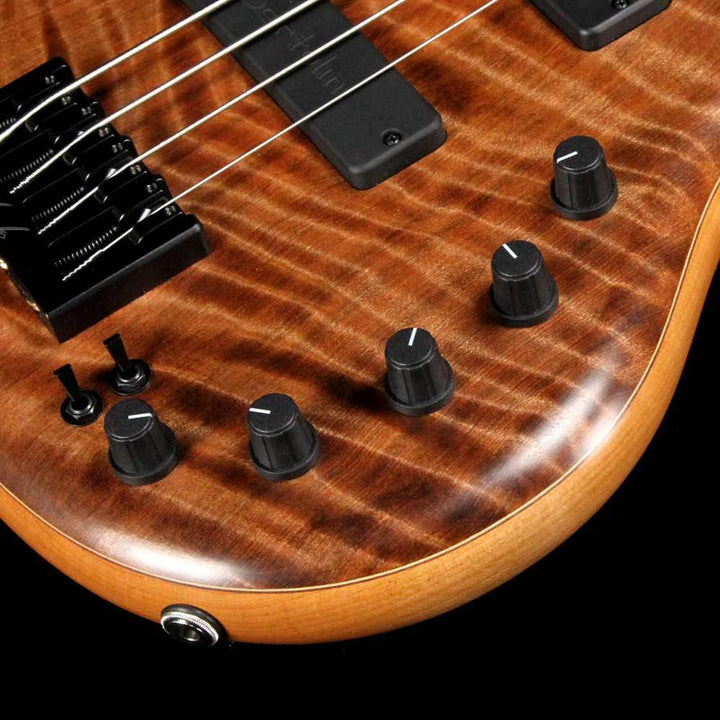 Elrick eVolution Gold Series 4-String Bass Flame Redwood Top Natural