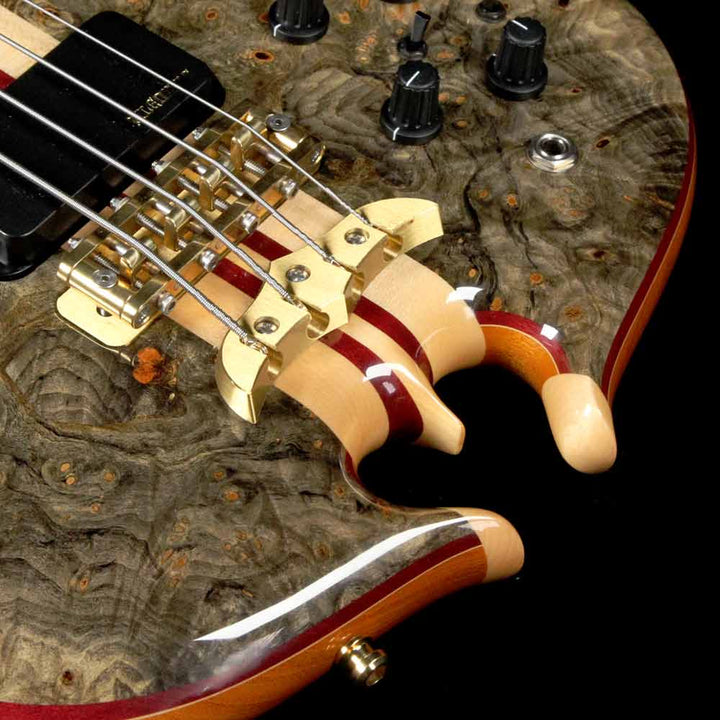 Alembic Signature Standard Bass Buckeye Burl Natural