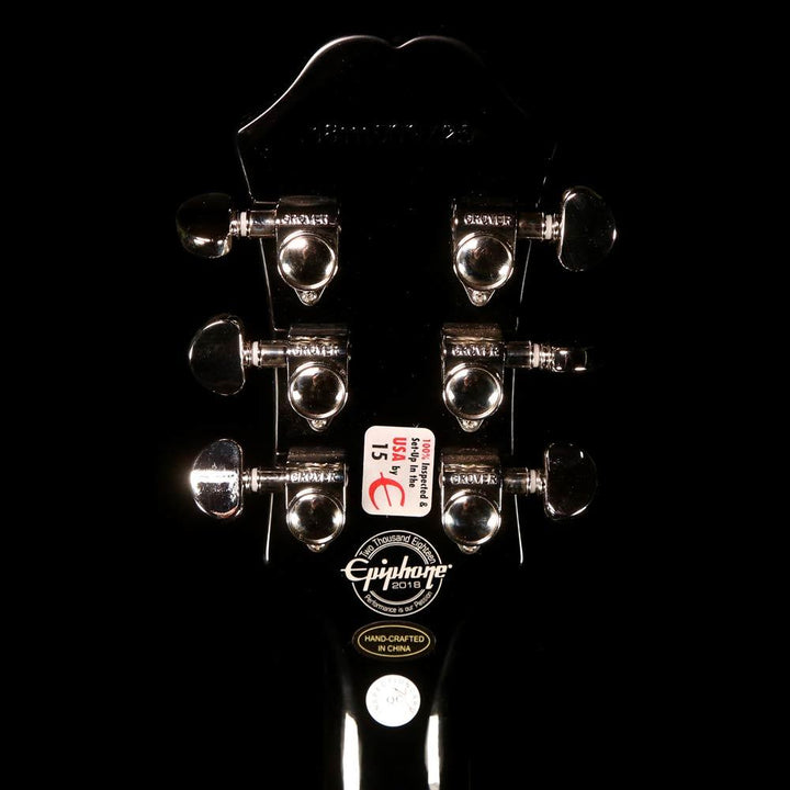 Epiphone DC Pro Wild Ivy