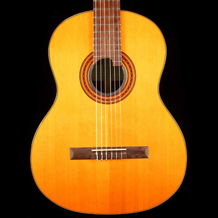 EKO Classical Nylon String Acoustic Eddie Ojeda Collection