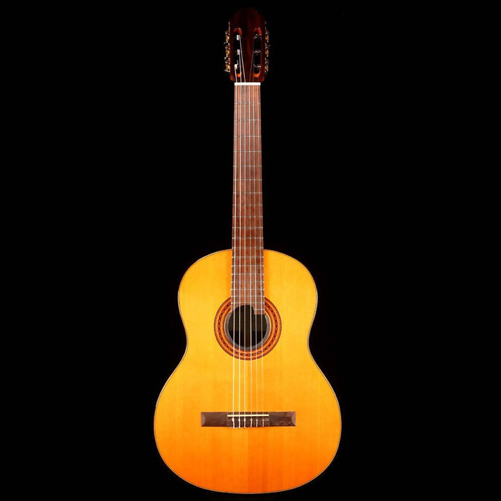 EKO Classical Nylon String Acoustic Eddie Ojeda Collection