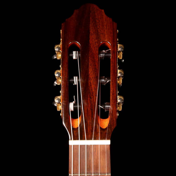 EKO Classical Nylon String Acoustic Eddie Ojeda Collection