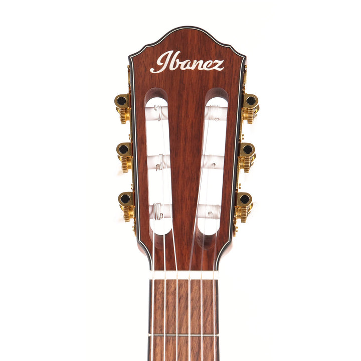 Ibanez FRH10N Nylon-String Acoustic-Electric Rose Gold Metallic Flat