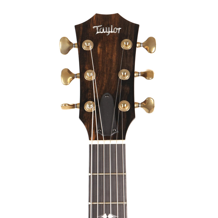 Taylor T5z Pro Prototype Bocote Top