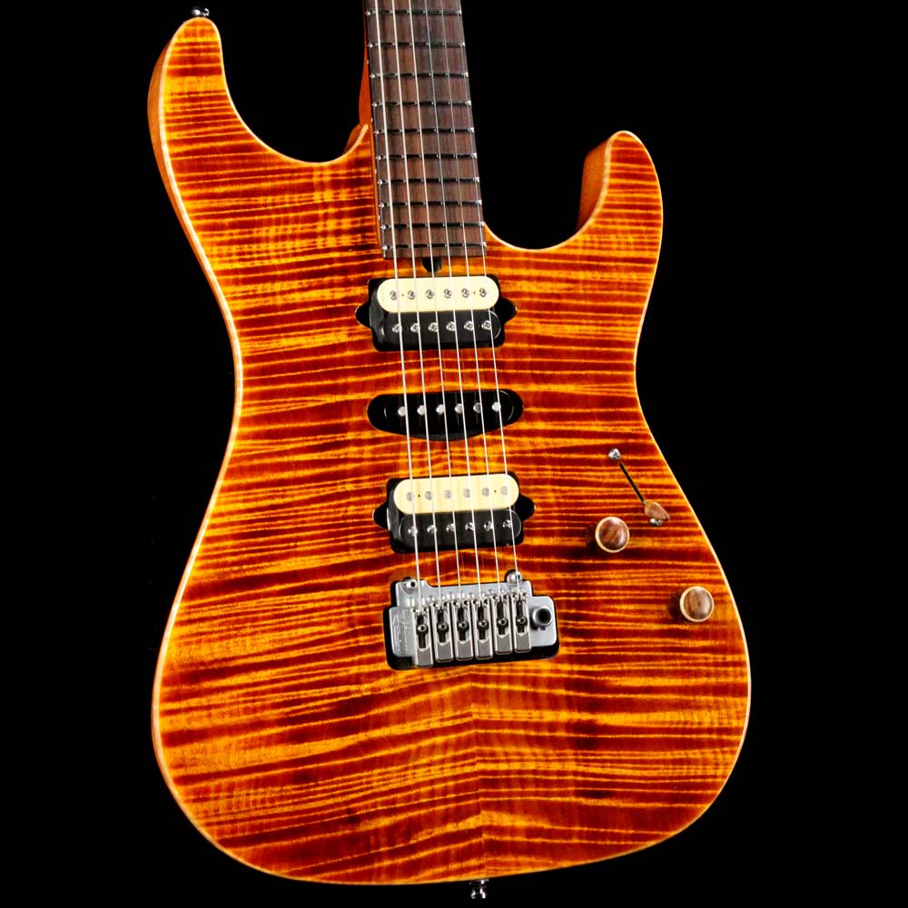 FREEDOM CUSTOM GUITAR RESEARCH Retrospective ST Brazilian Rose